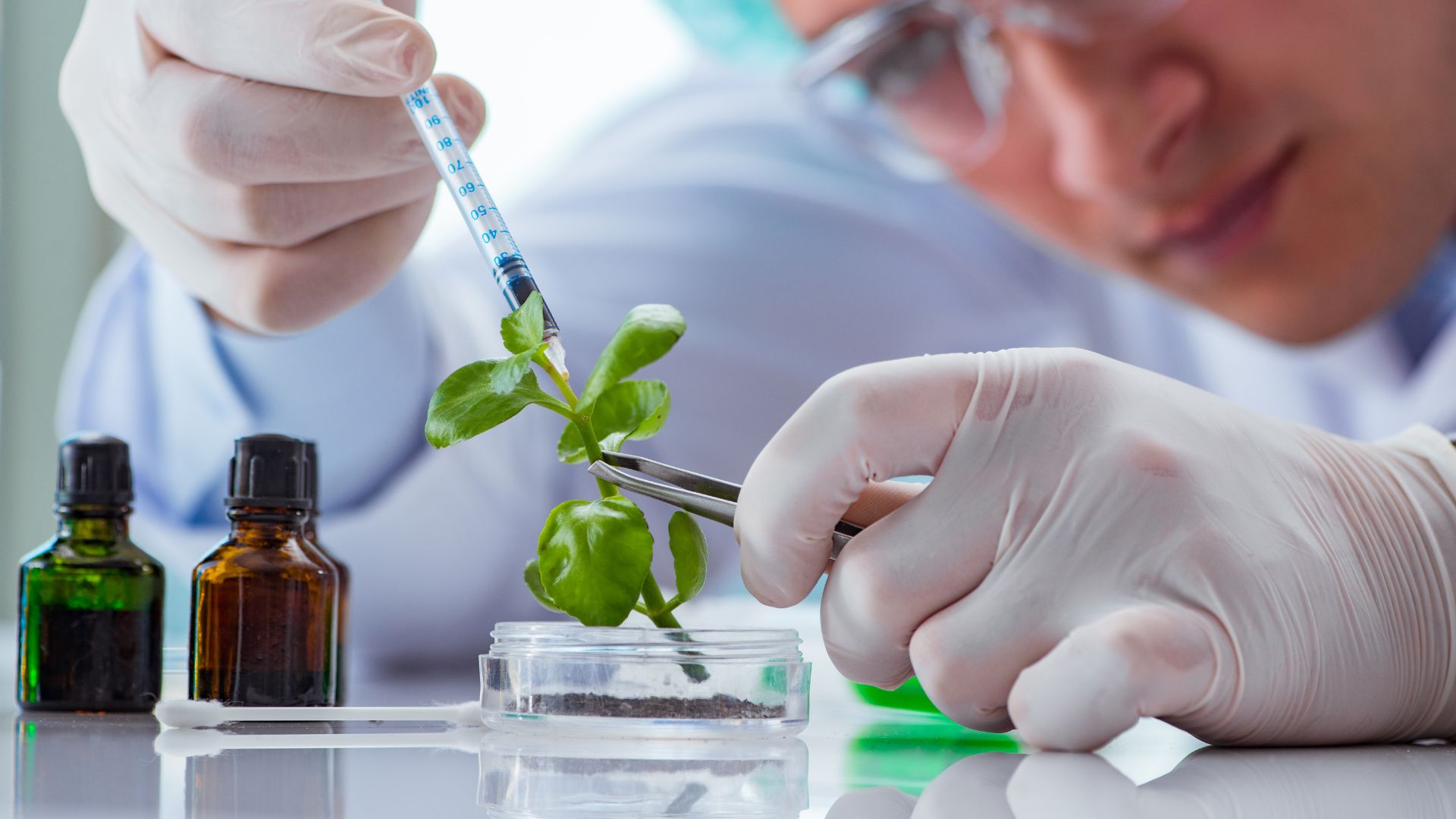 Agricultural Research System Image